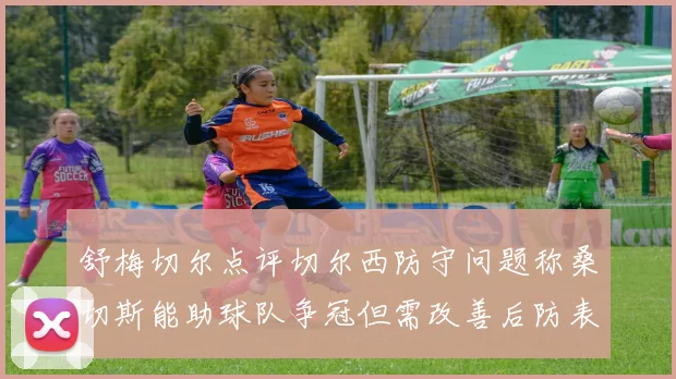 舒梅切尔点评切尔西防守问题称桑切斯能助球队争冠但需改善后防表现