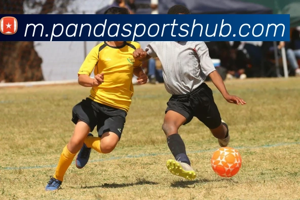 熊猫体育平台生态图